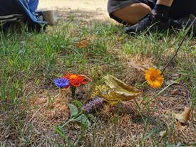 foto: Kunst in de natuur