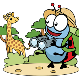 foto: Kriki wild life Stekene (6-10/07/2026)